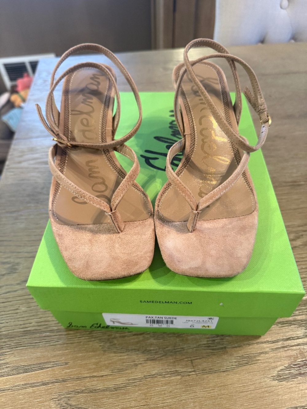 Sam Edelman Pax Kitten Heel Thong Sandal